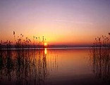 Trasimeno lake Park